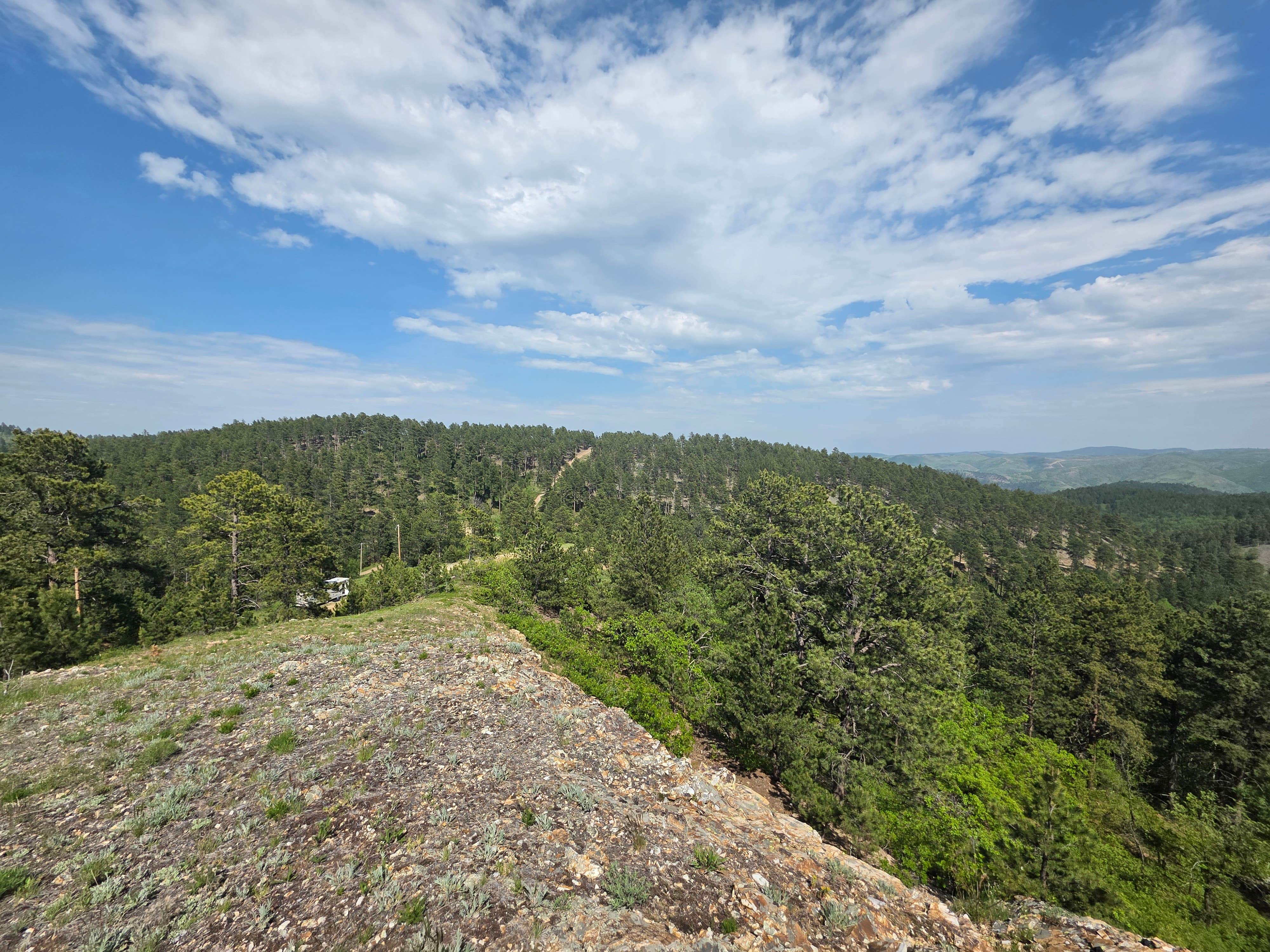Milo D.'s photo of a dispersed camping area at Mt. Roosevelt Dispersed Camping near Nemo, SD