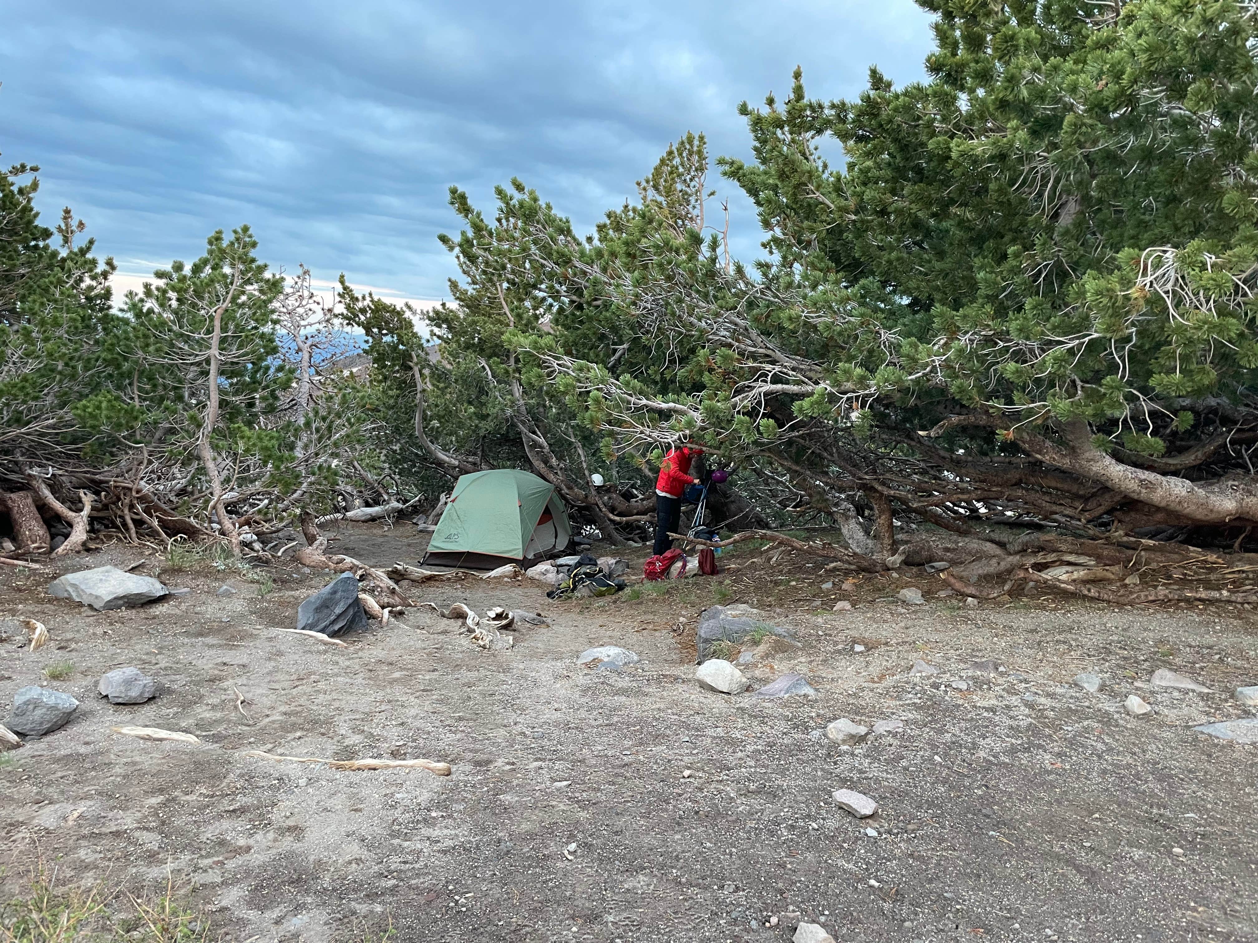 Camping near Panther Meadows Campground: Mt Shasta Clear Creek Route Dispersed Camping, Mount Shasta, California