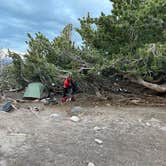 Review photo of Mt Shasta Clear Creek Route Dispersed Camping by Les R., November 29, 2025