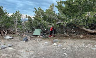 Les R.'s photo of tent camping at Mt Shasta Clear Creek Route Dispersed Camping near Montague, CA