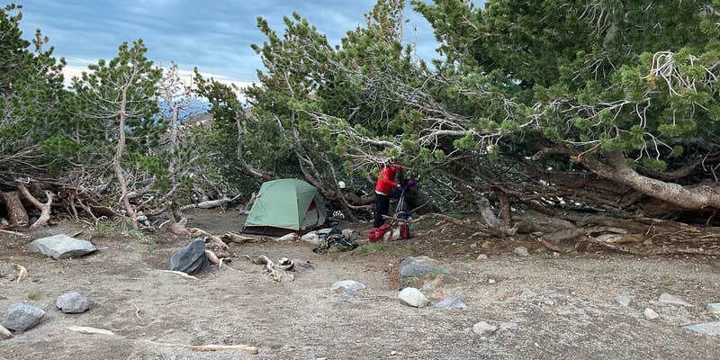 Camper submitted image from Mt Shasta Clear Creek Route Dispersed Camping