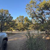 Review photo of Mt. Shavano Wildlife Area by Aly E., June 21, 2025