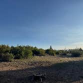 Review photo of Mt. Shavano Wildlife Area by Aly E., June 21, 2025