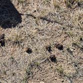 Review photo of Mt. Shavano Wildlife Area by johny R., April 12, 2026