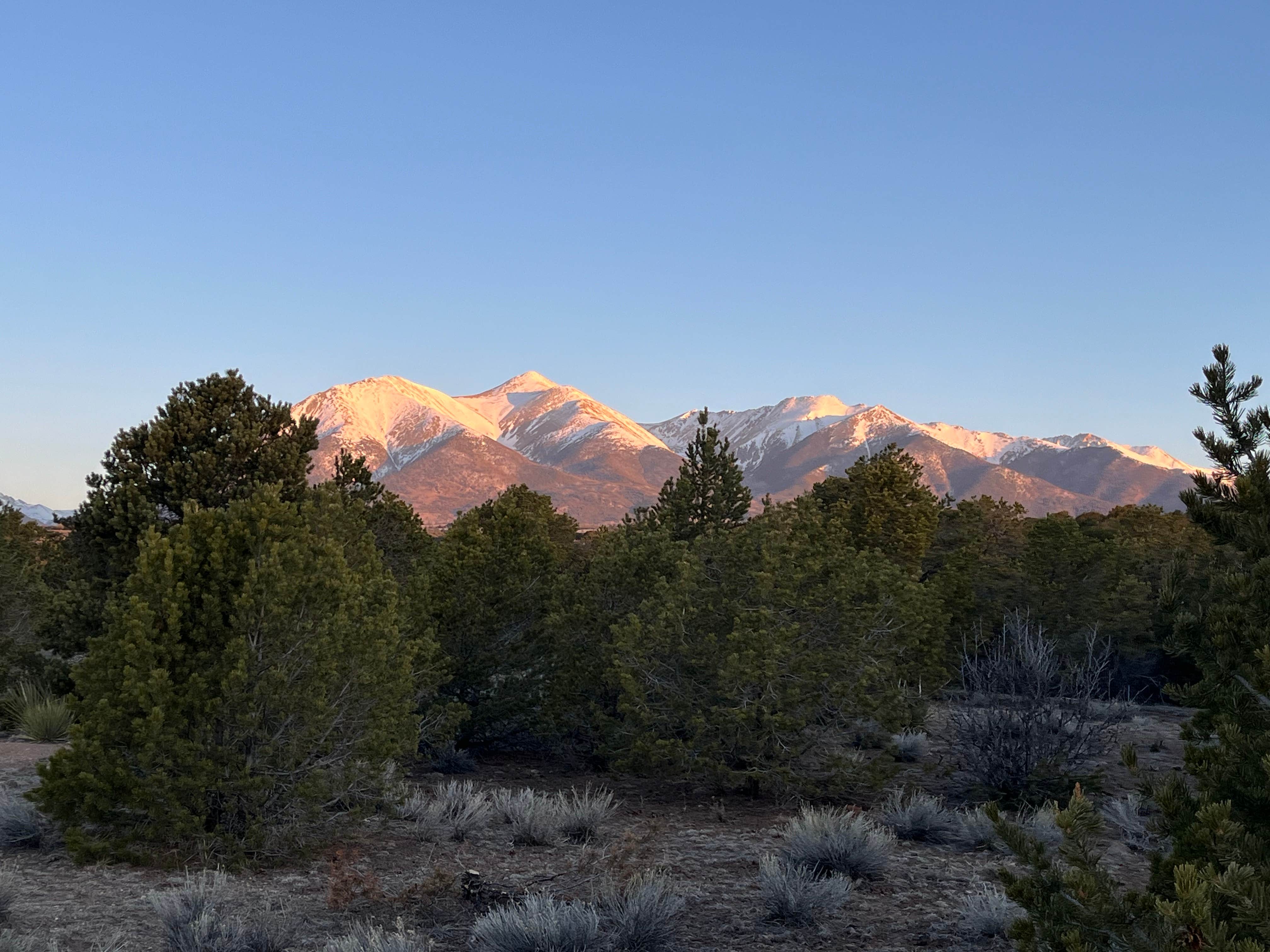 Camper-submitted photo at Mt. Shavano Wildlife Area near Poncha Springs, CO