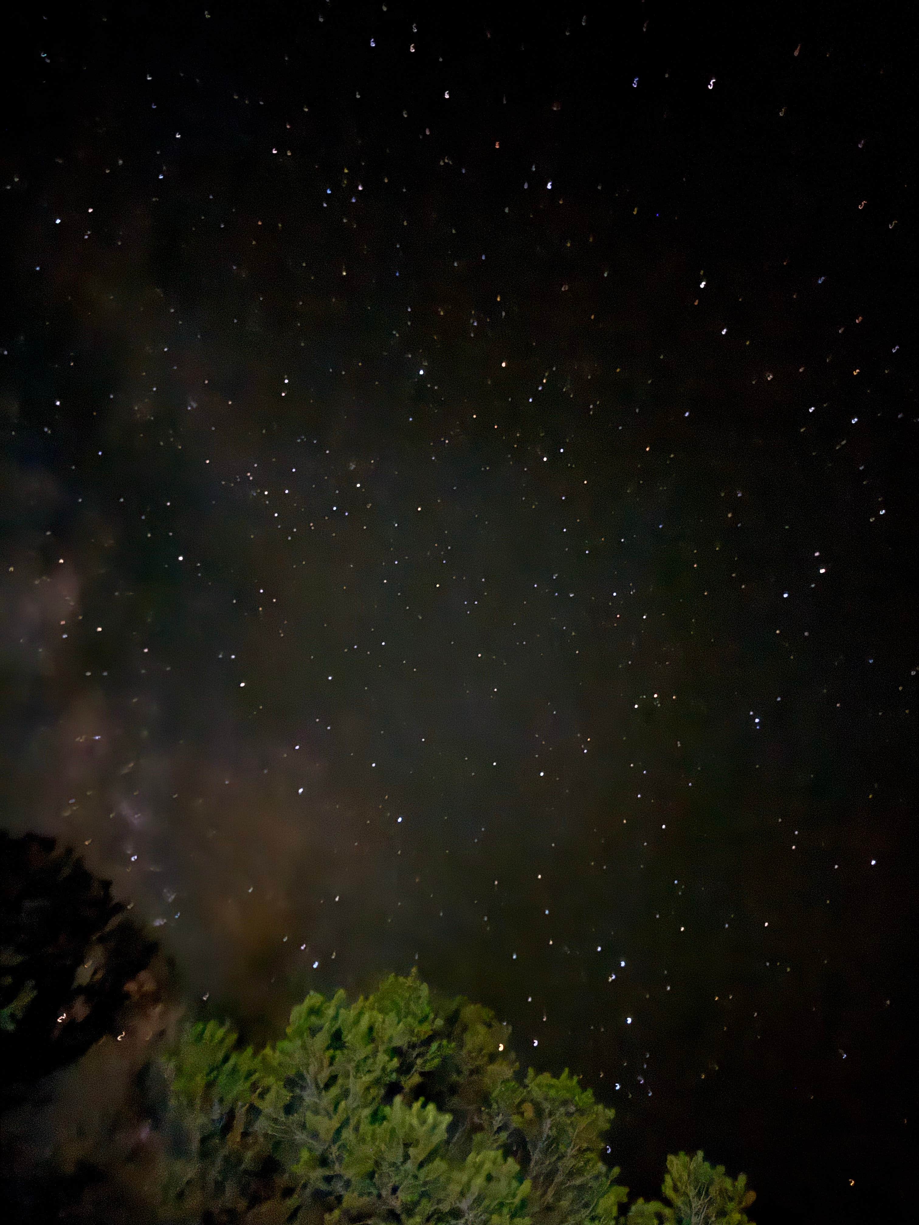 Camper-submitted photo at Mt. Shavano Wildlife Area near Poncha Springs, CO