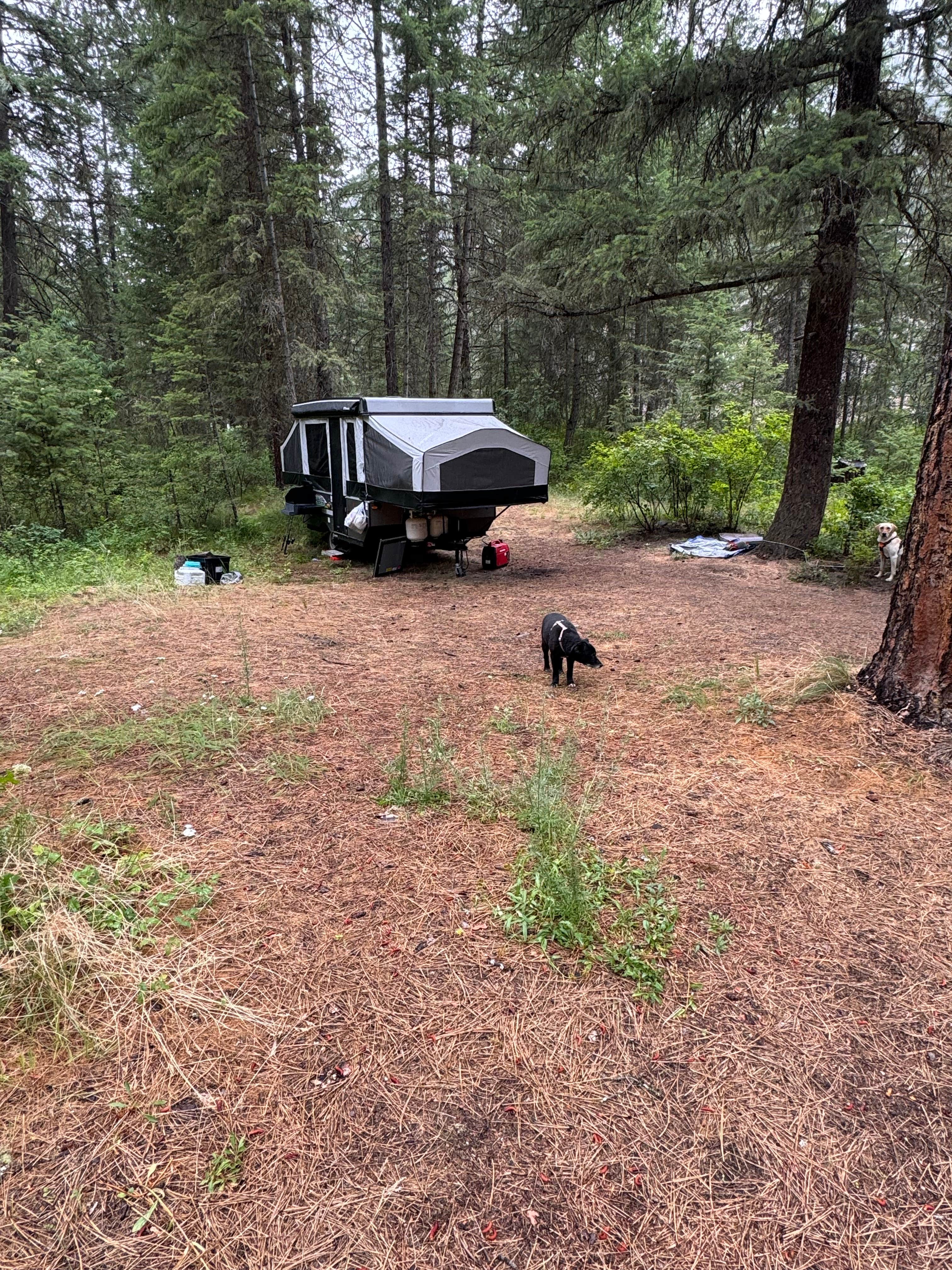 Camper-submitted photo at Muchwater Recreation Area near Superior, MT