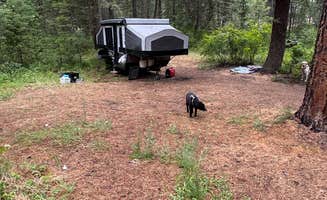 John F.'s photo at Muchwater Recreation Area near Lolo National Forest