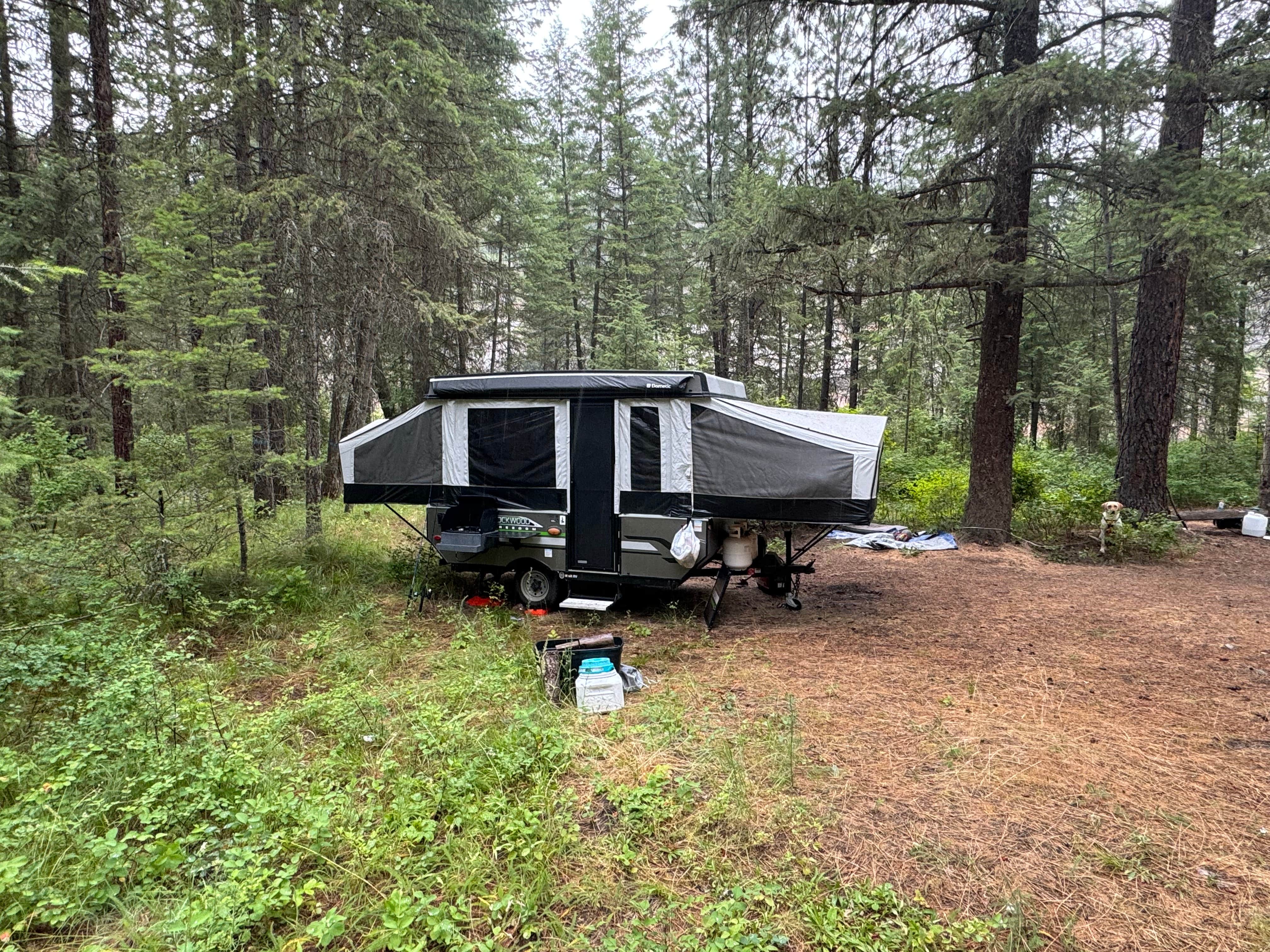 Camper-submitted photo at Muchwater Recreation Area near Polson, MT