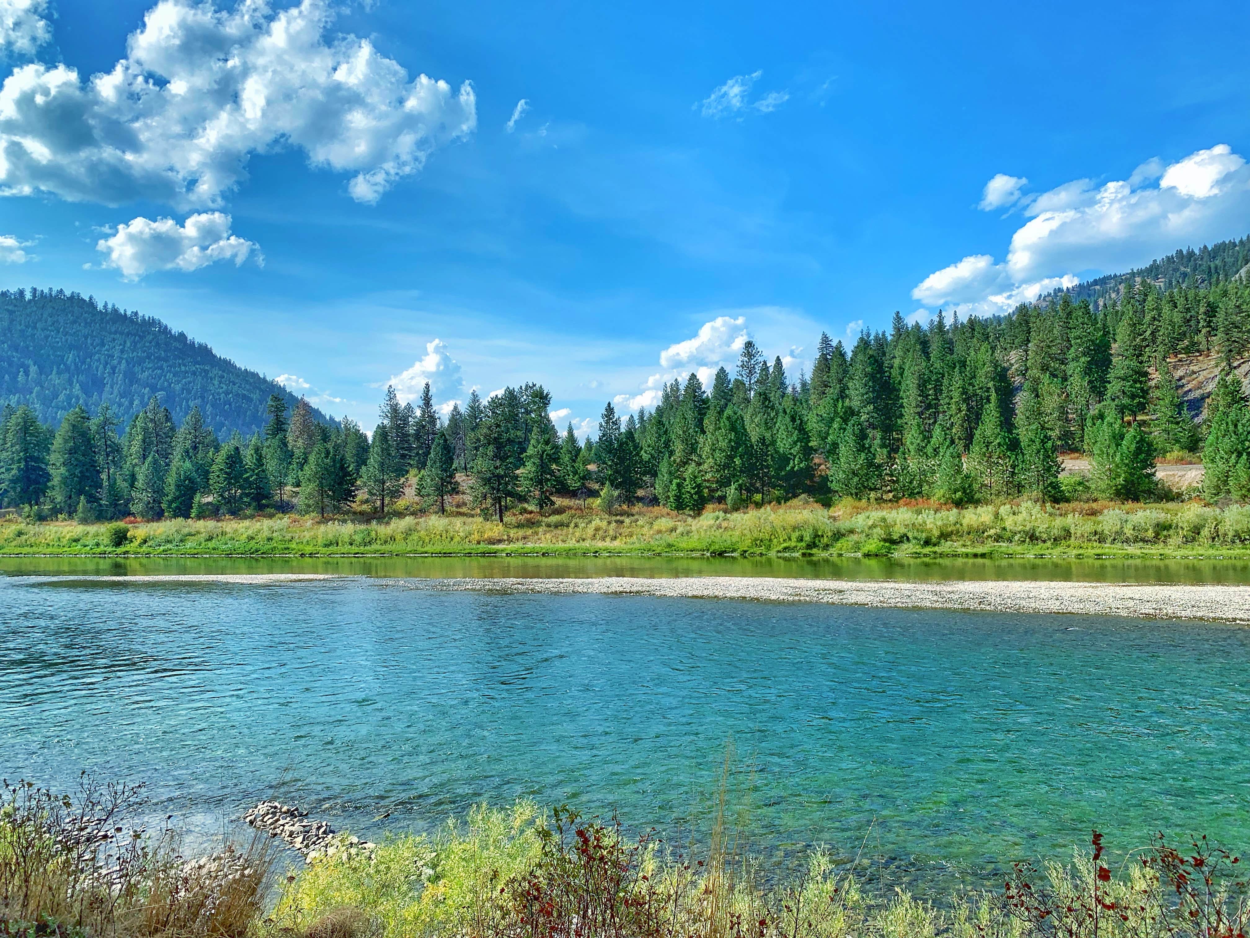 Sadie P.'s photo of a dispersed camping area at Muchwater Recreation Area near Lolo National Forest