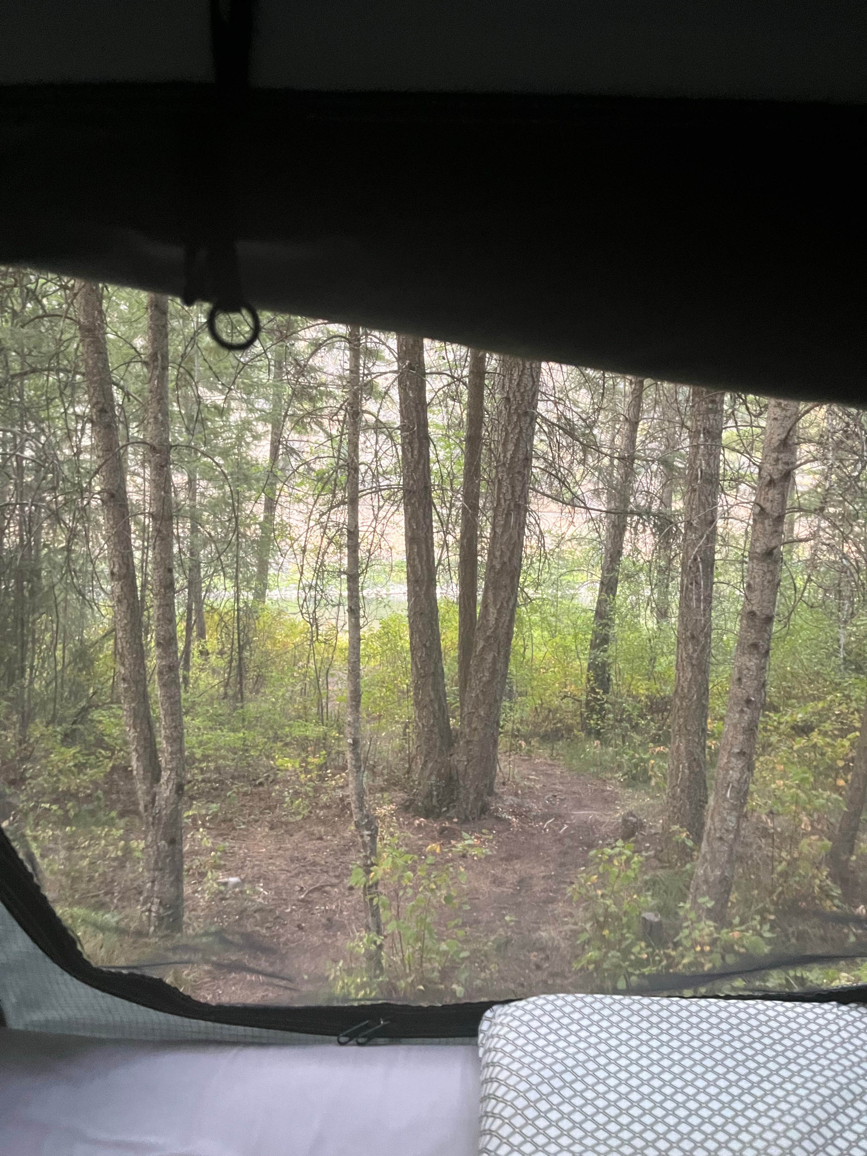 Camping near rainbow lake Montana State campground: Muchwater Recreation Area, Paradise, Montana