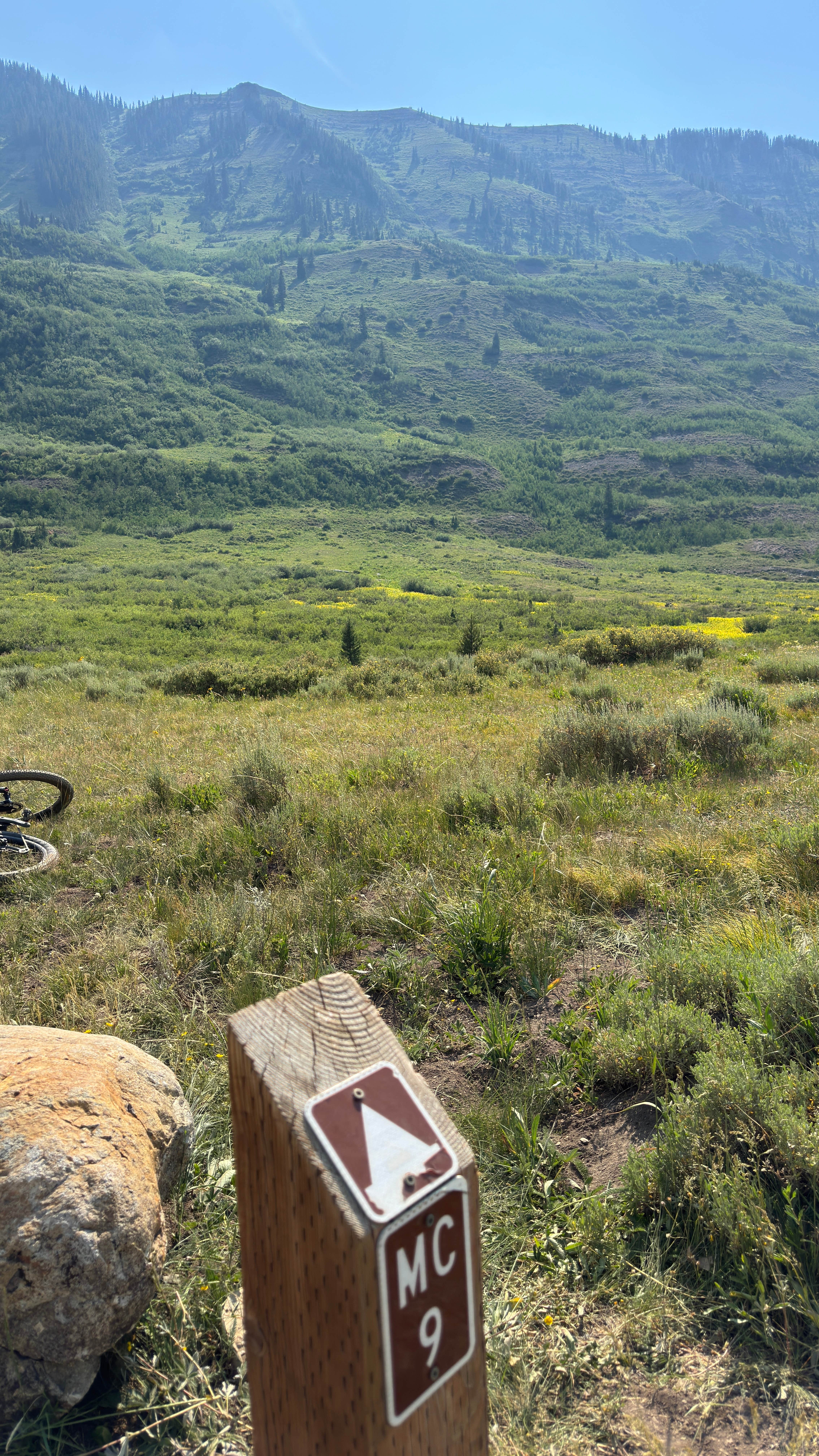 Camping near Musician's Camp: Musicians Campground, Crested Butte, Colorado