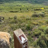 Review photo of Musicians Campground by Matthew R., July 5, 2026
