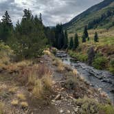 Review photo of Musicians Campground by Alexandra G., September 4, 2025