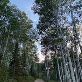 Review photo of Mud Creek Campground by Noel C., June 25, 2026