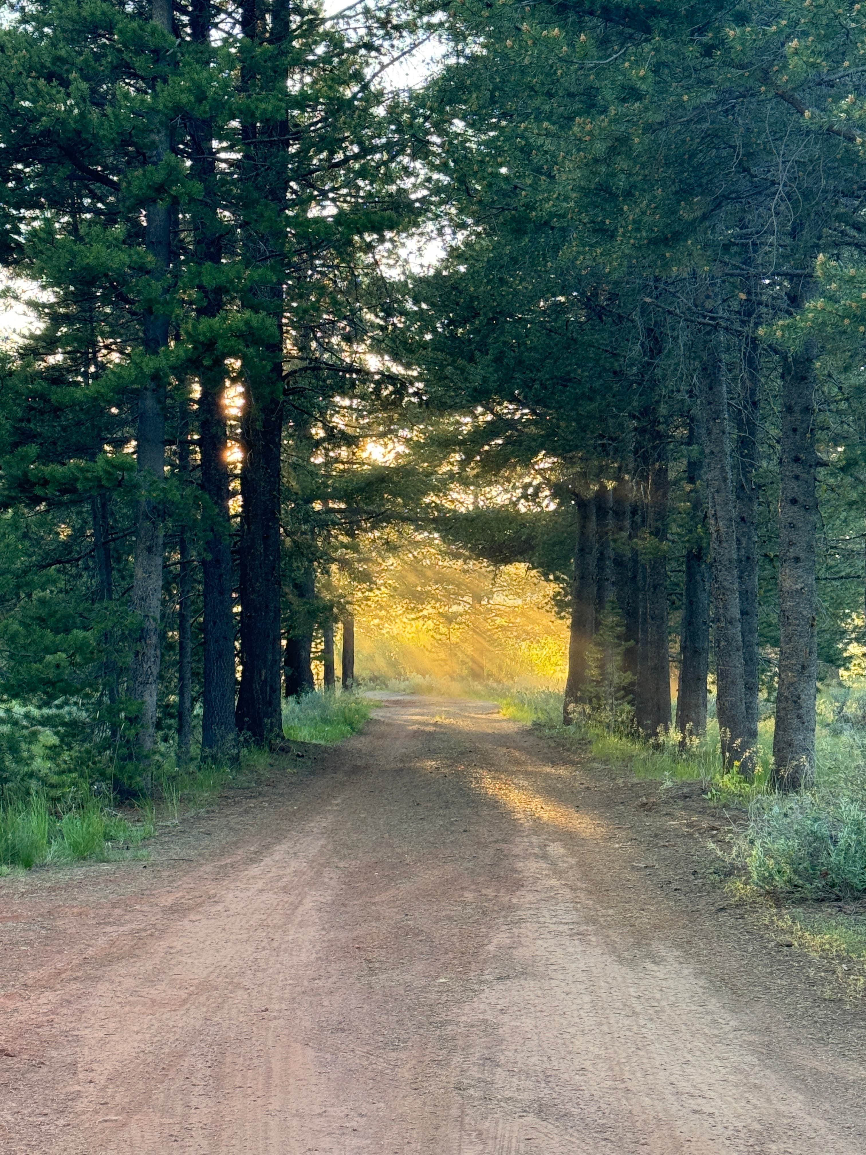 Camper-submitted photo at Mud Creek Campground near Adel, OR