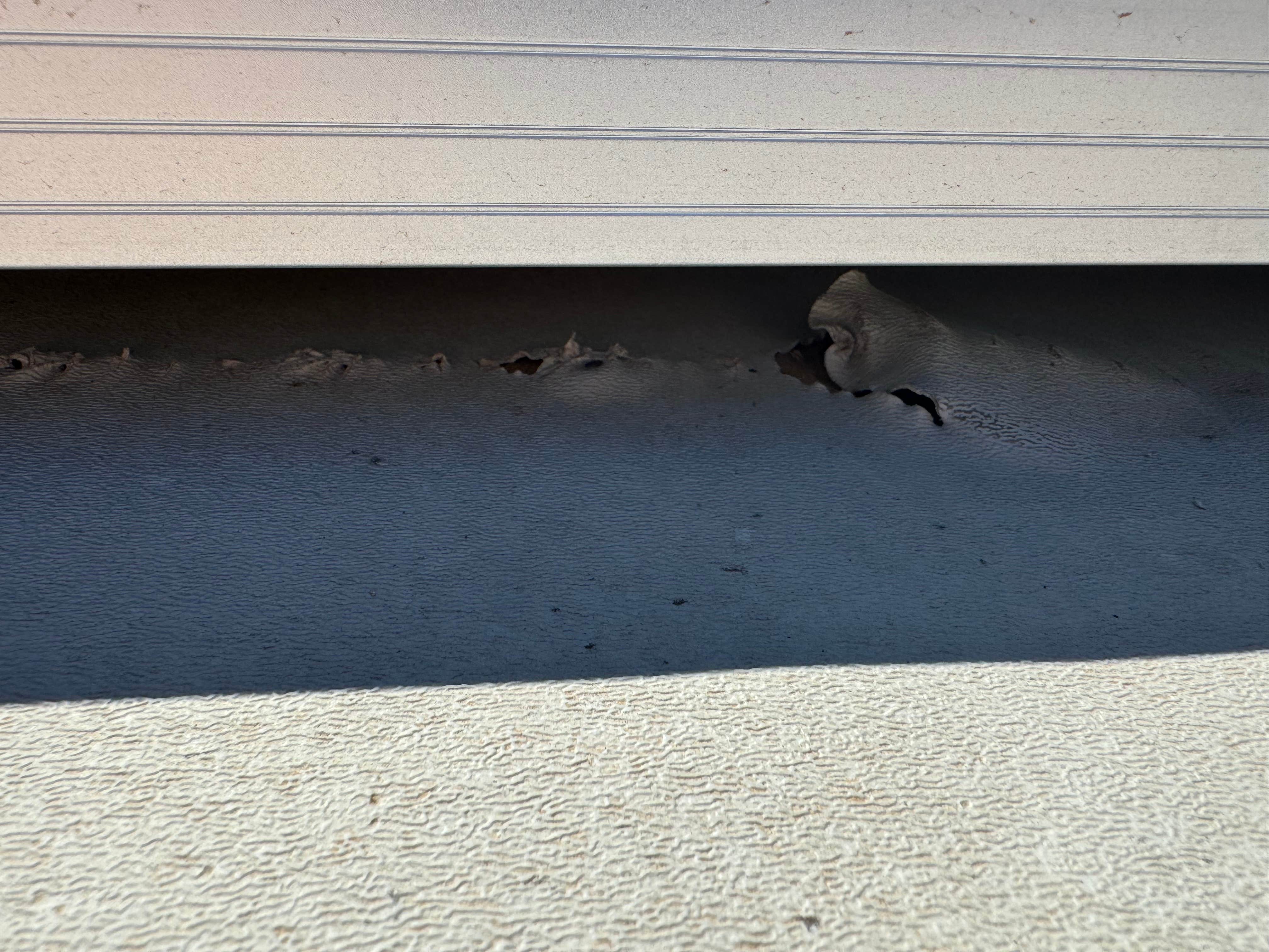 Camper-submitted photo at Mud Creek Campground near Adel, OR