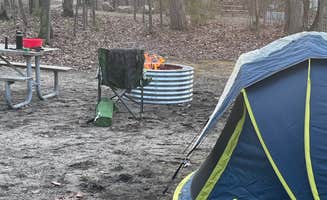 Matt T.'s photo at Mud Lake State Forest Campground near Farwell, MI