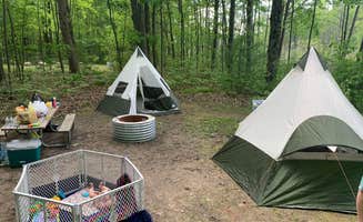 Zara W.'s photo at Mud Lake State Forest Campground near Lake, MI