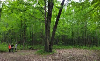 Zara W.'s photo of camping with pets at Mud Lake State Forest Campground near Evart, MI