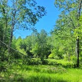 Review photo of Mud Lake State Forest Campground by Zara W., May 29, 2024