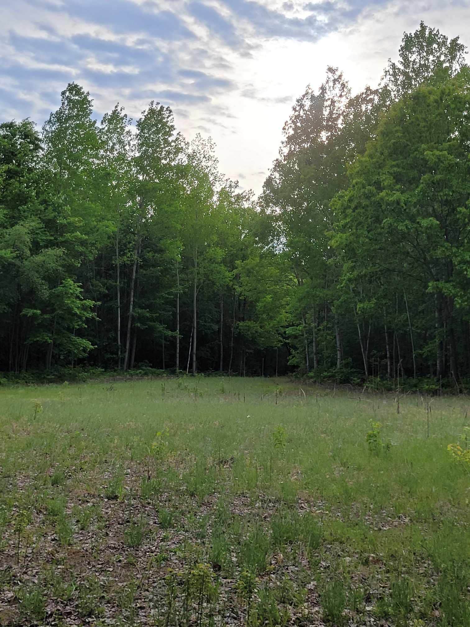Camper-submitted photo at Mud Lake State Forest Campground near Clare, MI