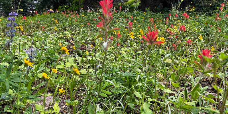 Camper submitted image from Muddy Creek Dispersed Camp