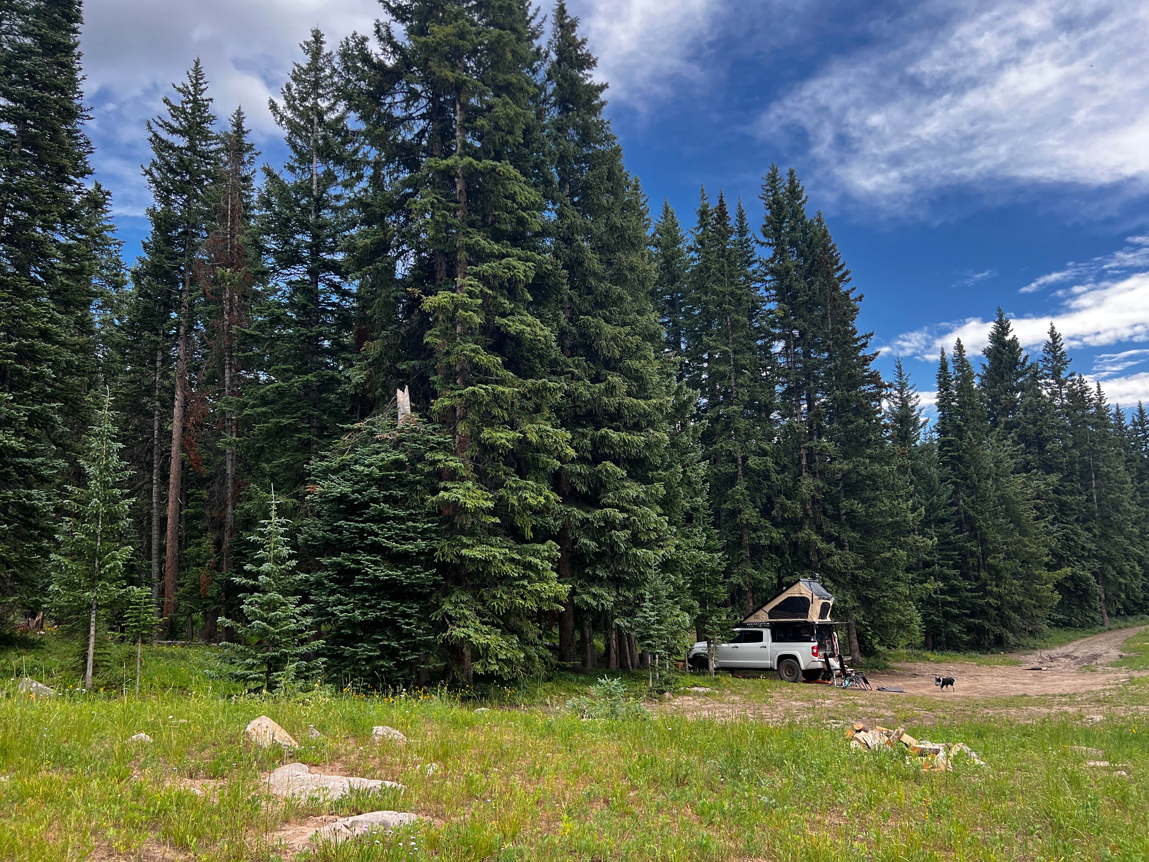 Camper submitted image from Muddy Creek Dispersed Camp - 3