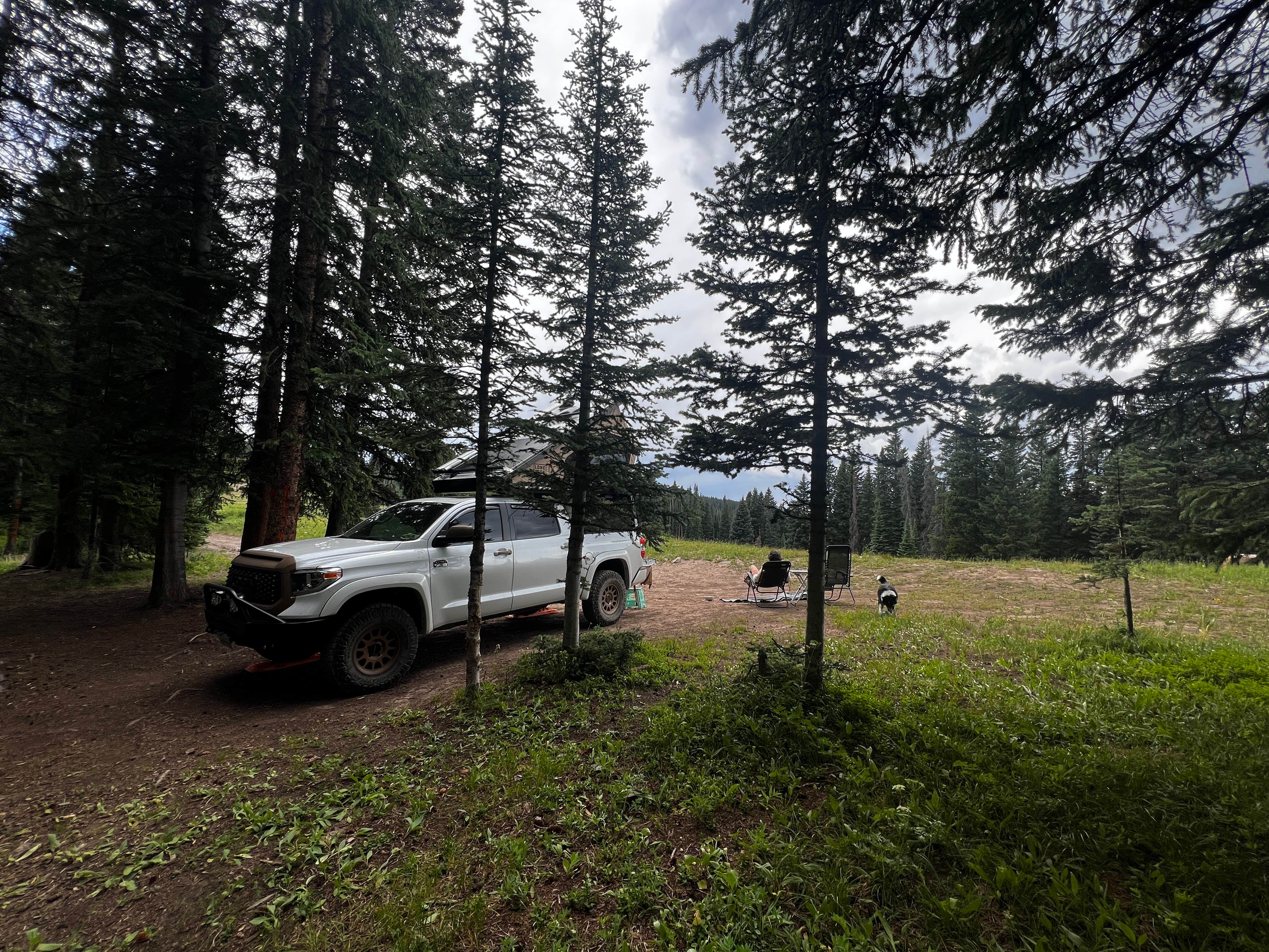 Camper submitted image from Muddy Creek Dispersed Camp - 2