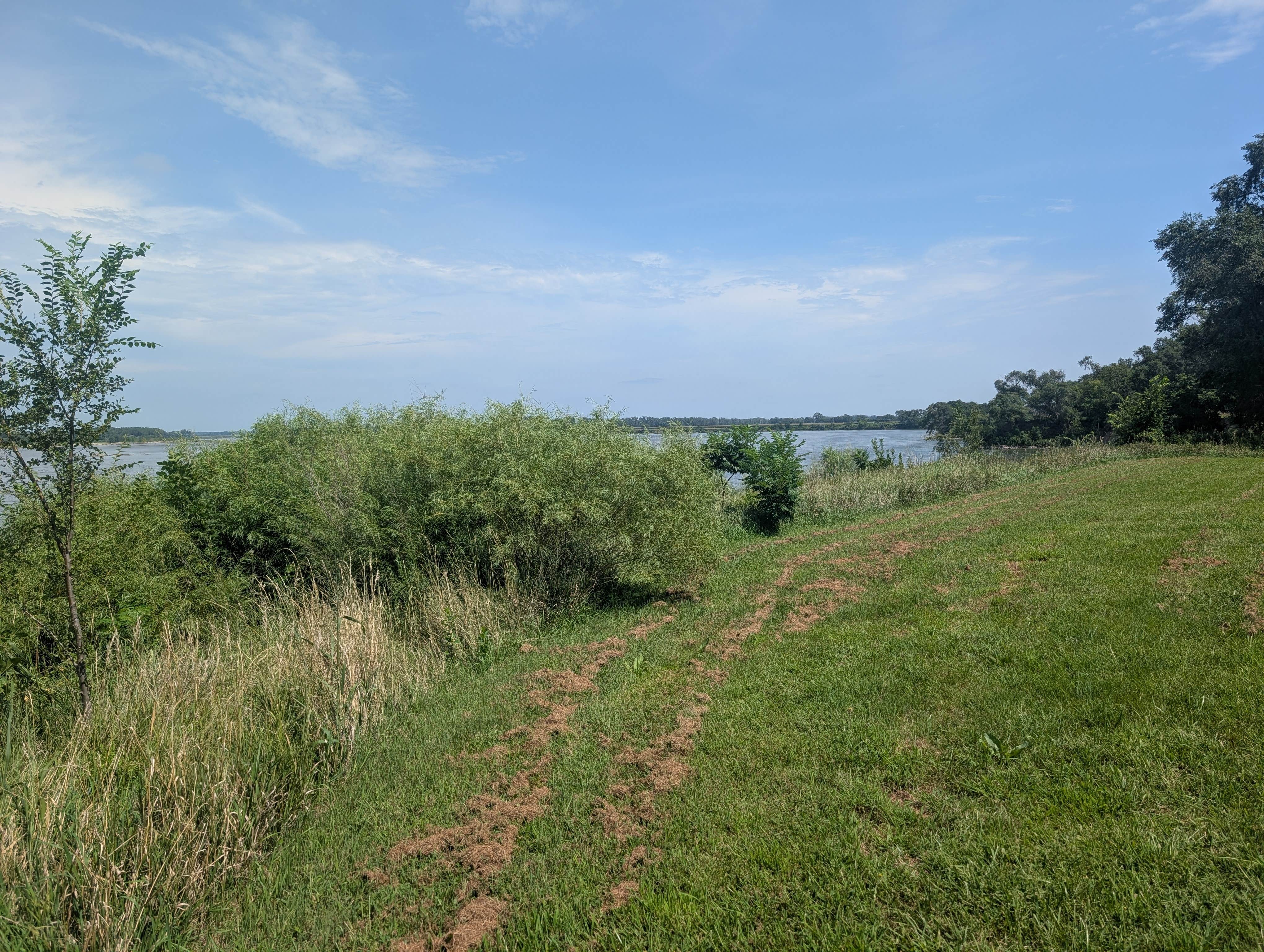 Camper submitted image from Mulberry Bend Wildlife Management Area - 1