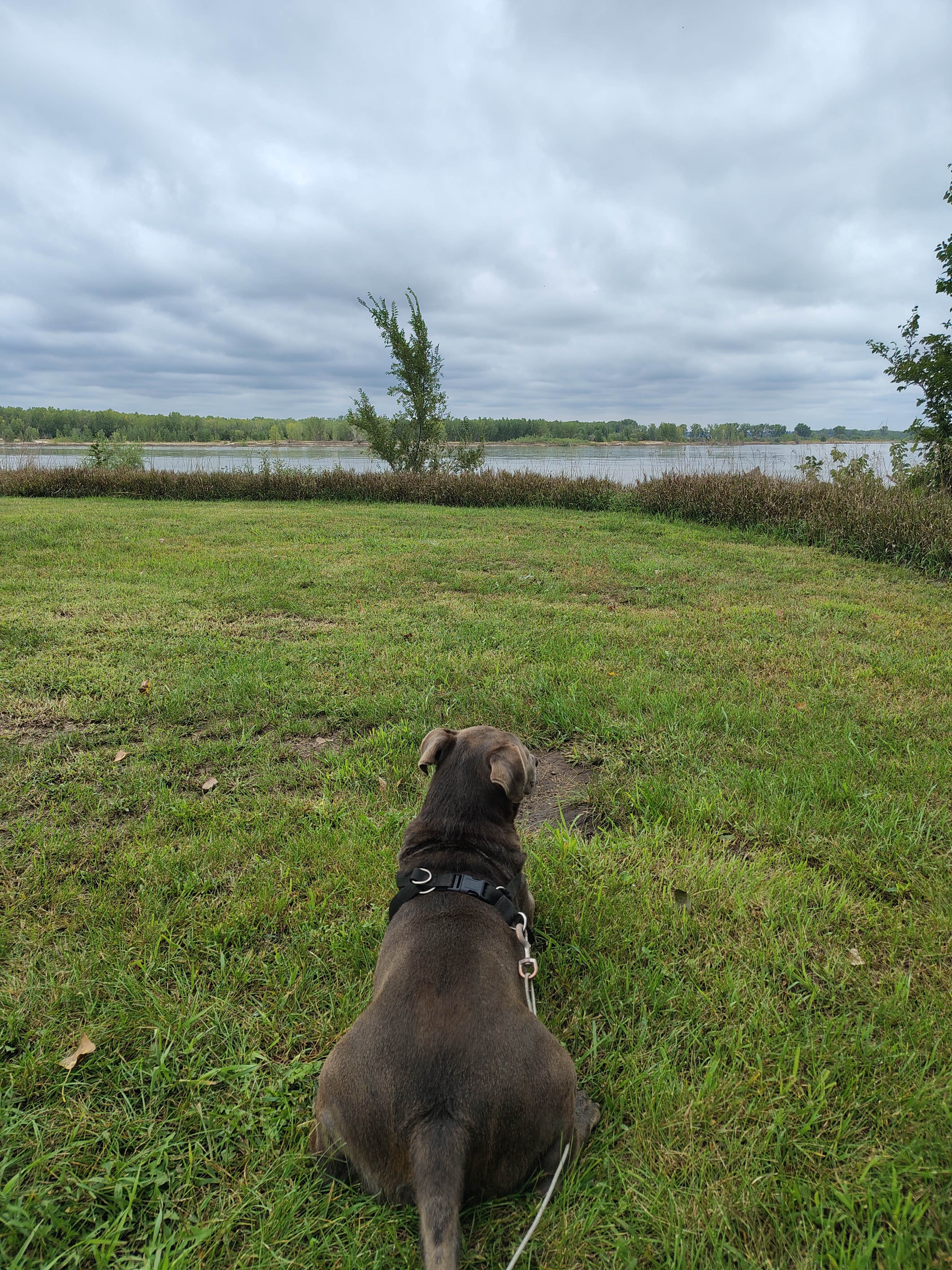 Travis A.'s photo of camping with pets at Mulberry Bend Wildlife Management Area near Vermillion, SD