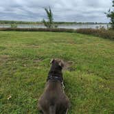 Review photo of Mulberry Bend Wildlife Management Area by Travis A., September 17, 2026
