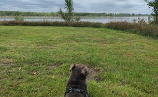 Travis A.'s photo of camping with pets at Mulberry Bend Wildlife Management Area near Sioux City, IA