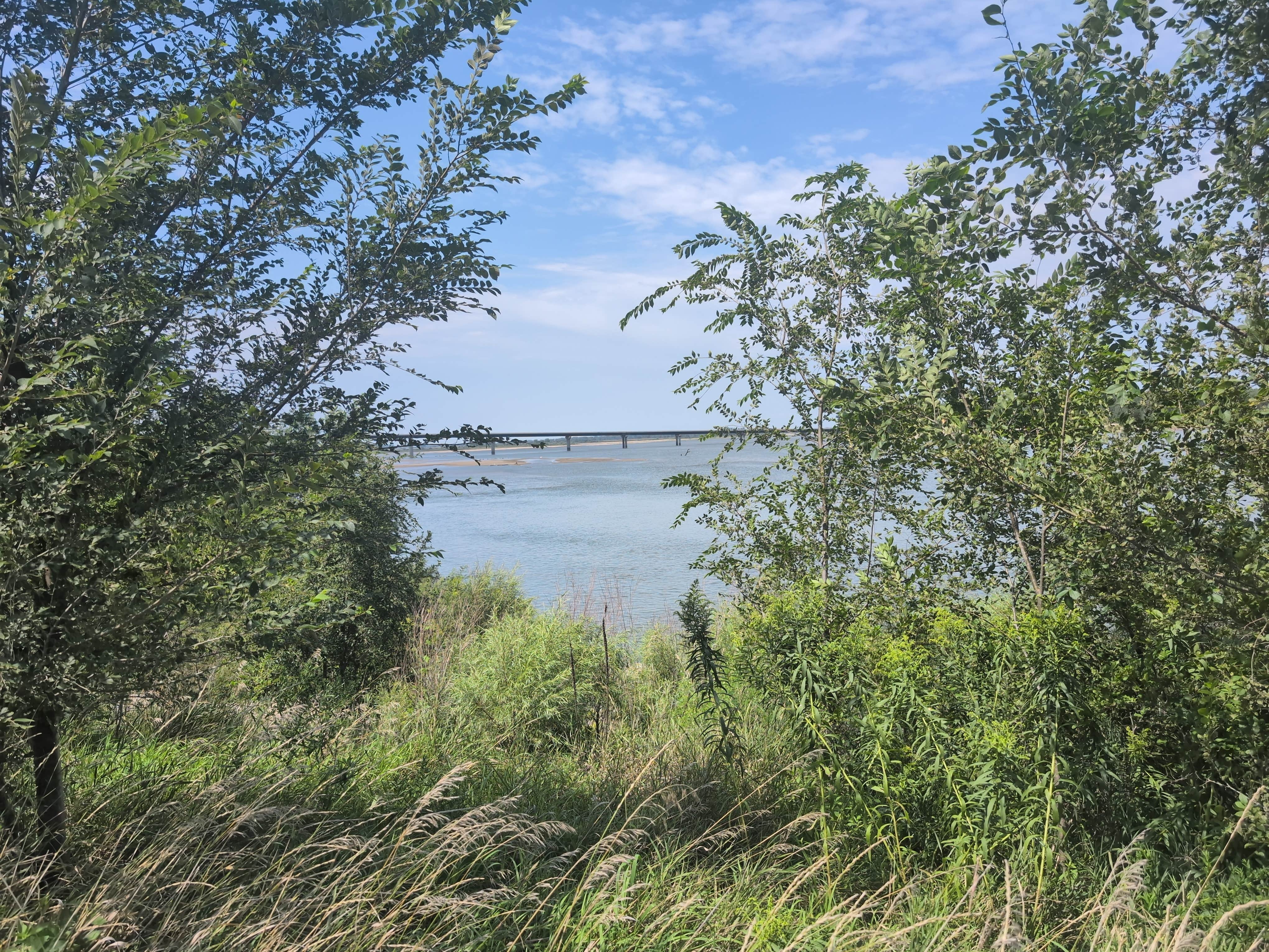 Camper submitted image from Mulberry Bend Wildlife Management Area - 2