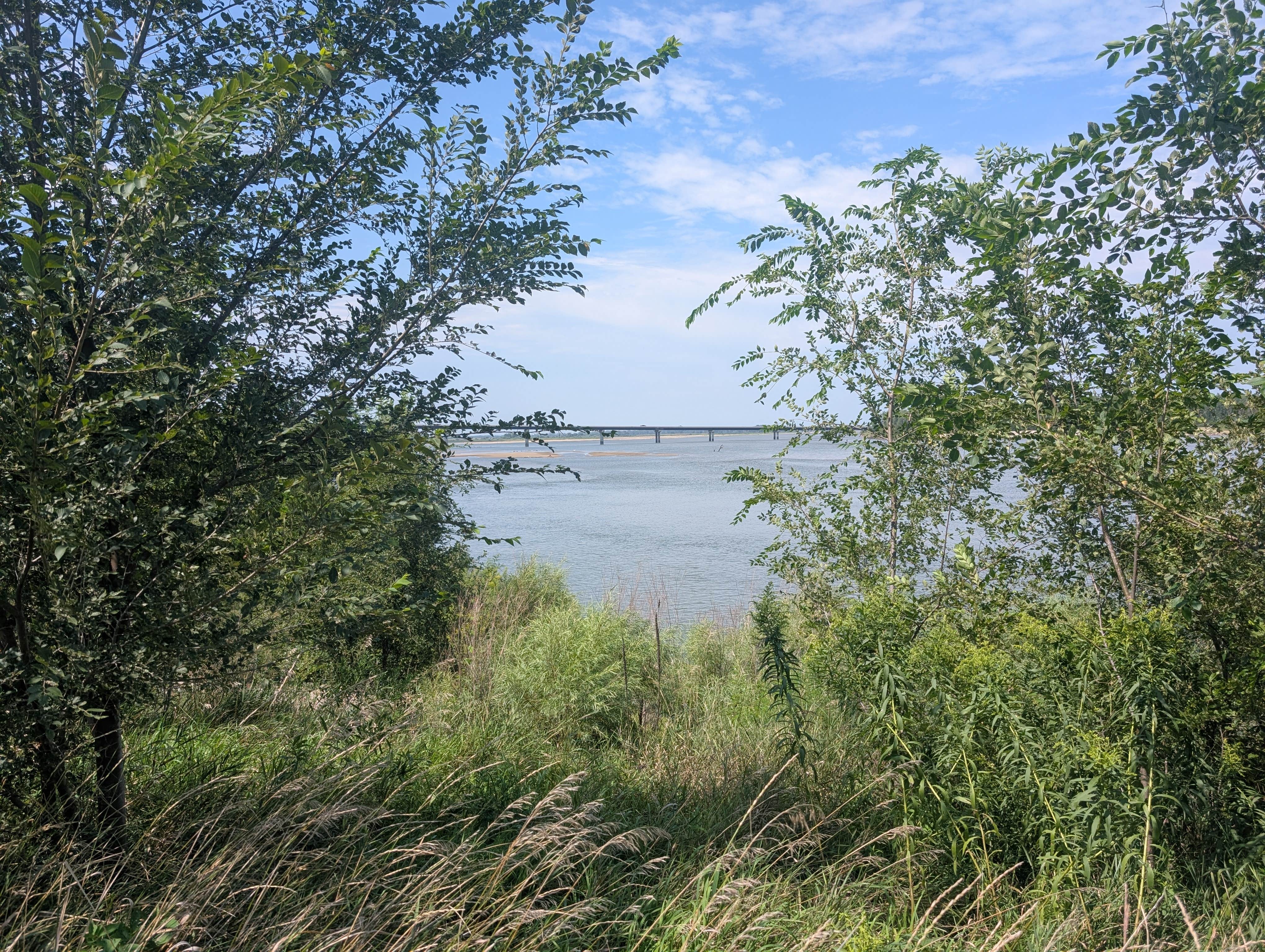 Rick M.'s photo of a dispersed camping area at Mulberry Bend Wildlife Management Area in Nebraska
