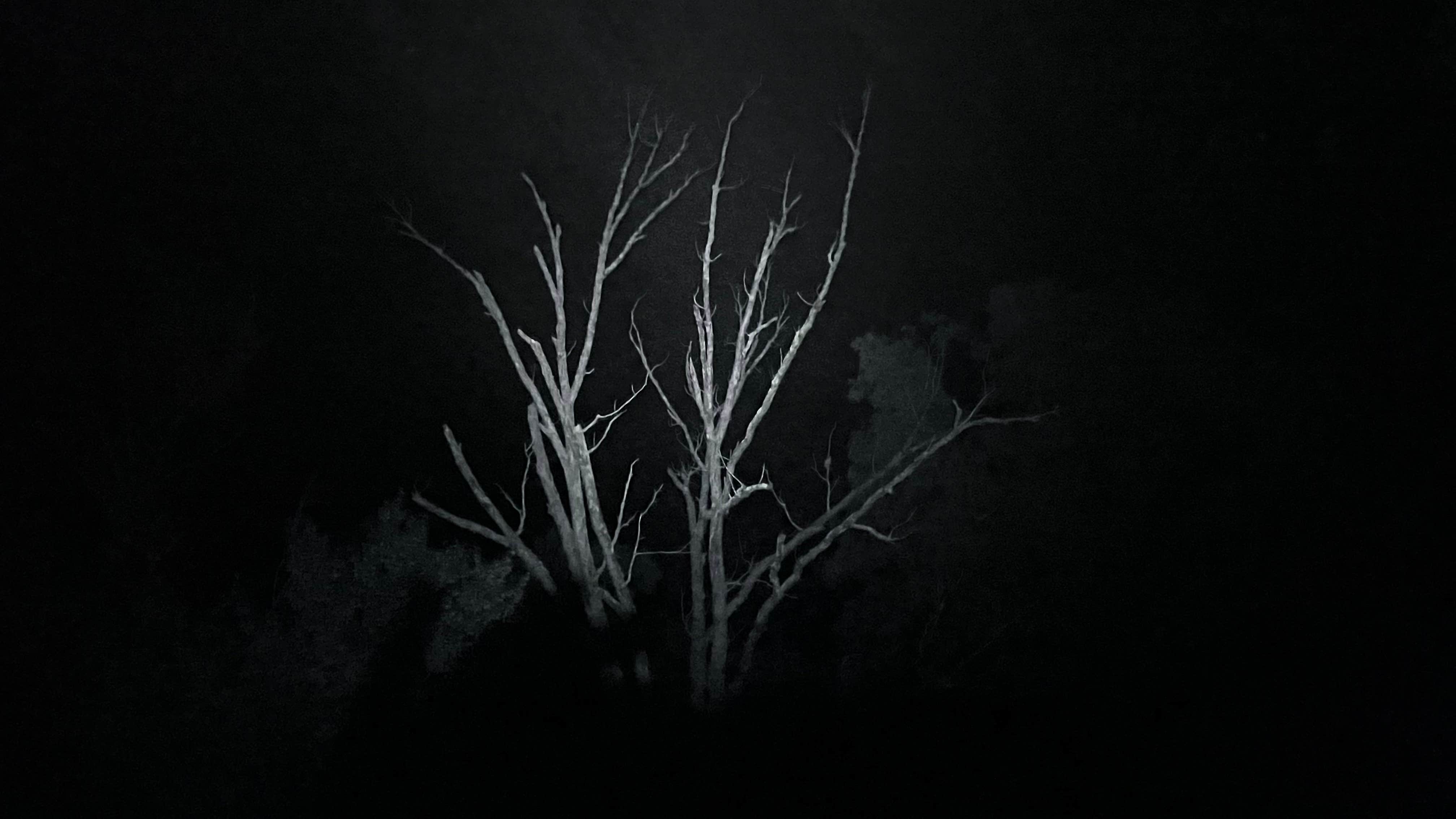 Camper-submitted photo at Mulberry Mountain Lodging & Events near St. Paul, AR