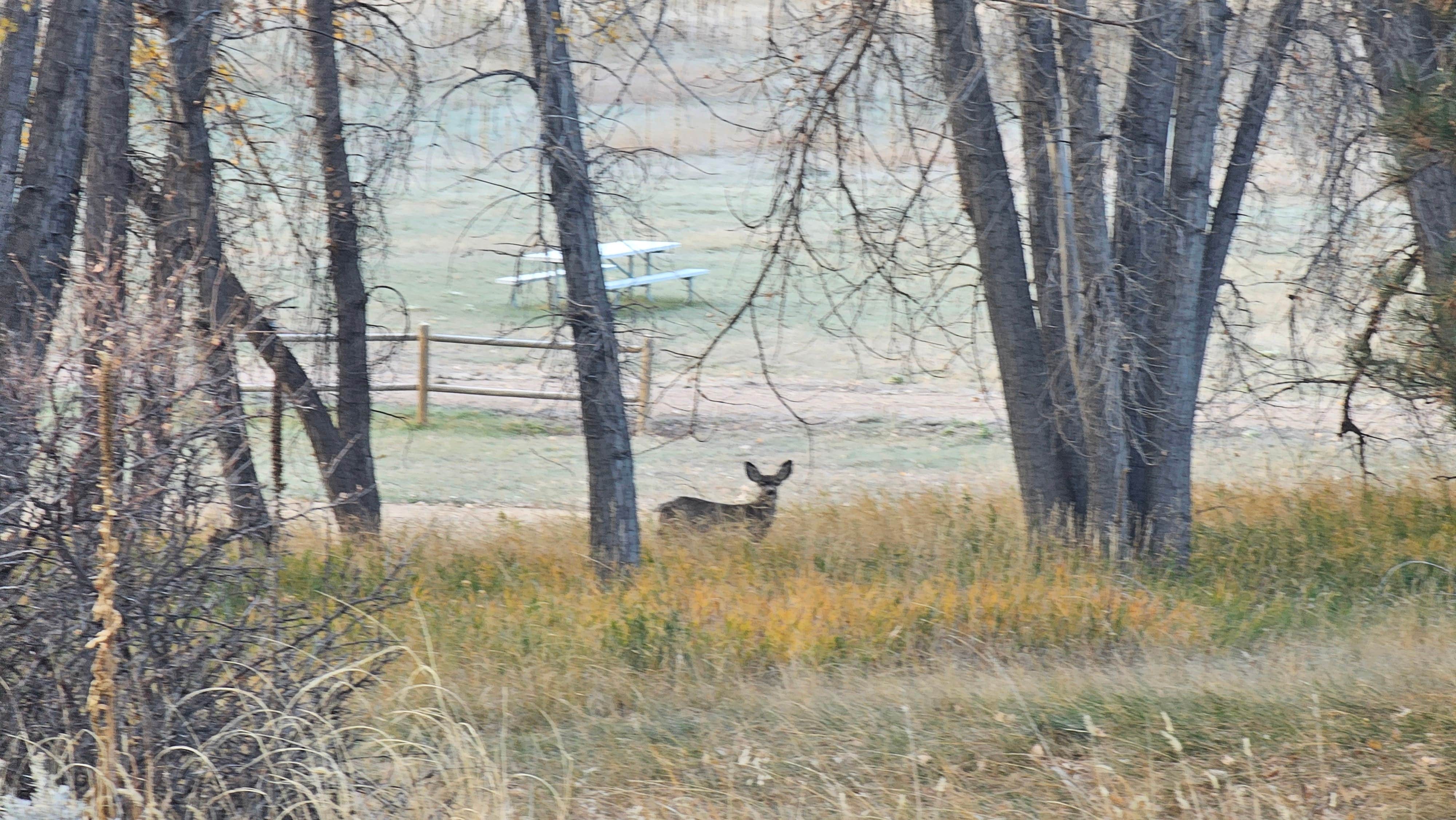 Camper submitted image from Mule Hill Campground — Glendo State Park - 3
