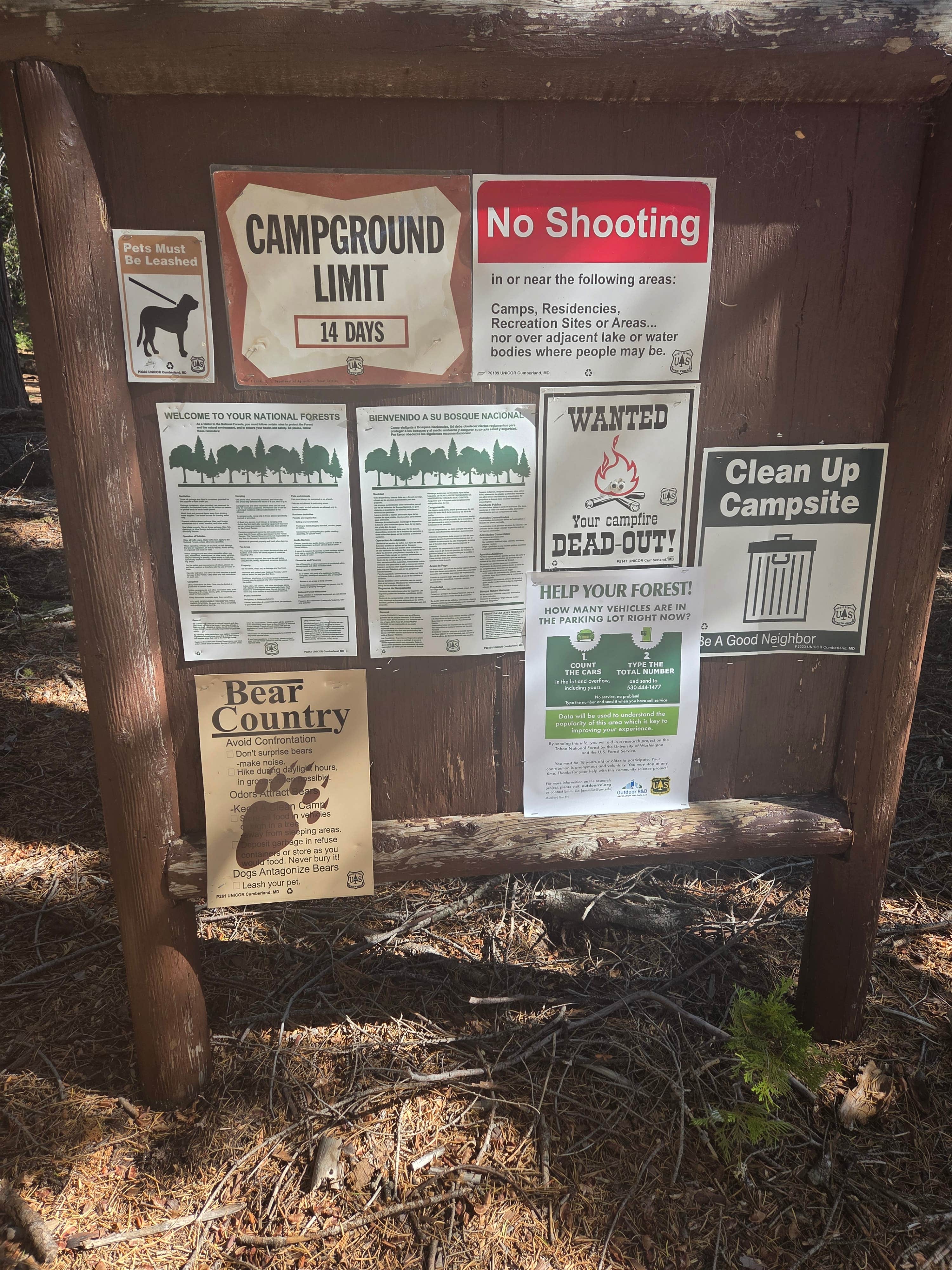 Camper submitted image from Mumford Bar Trail Campground - 5