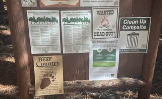 Cathy H.'s photo of camping with pets at Mumford Bar Trail Campground near Nevada City, CA