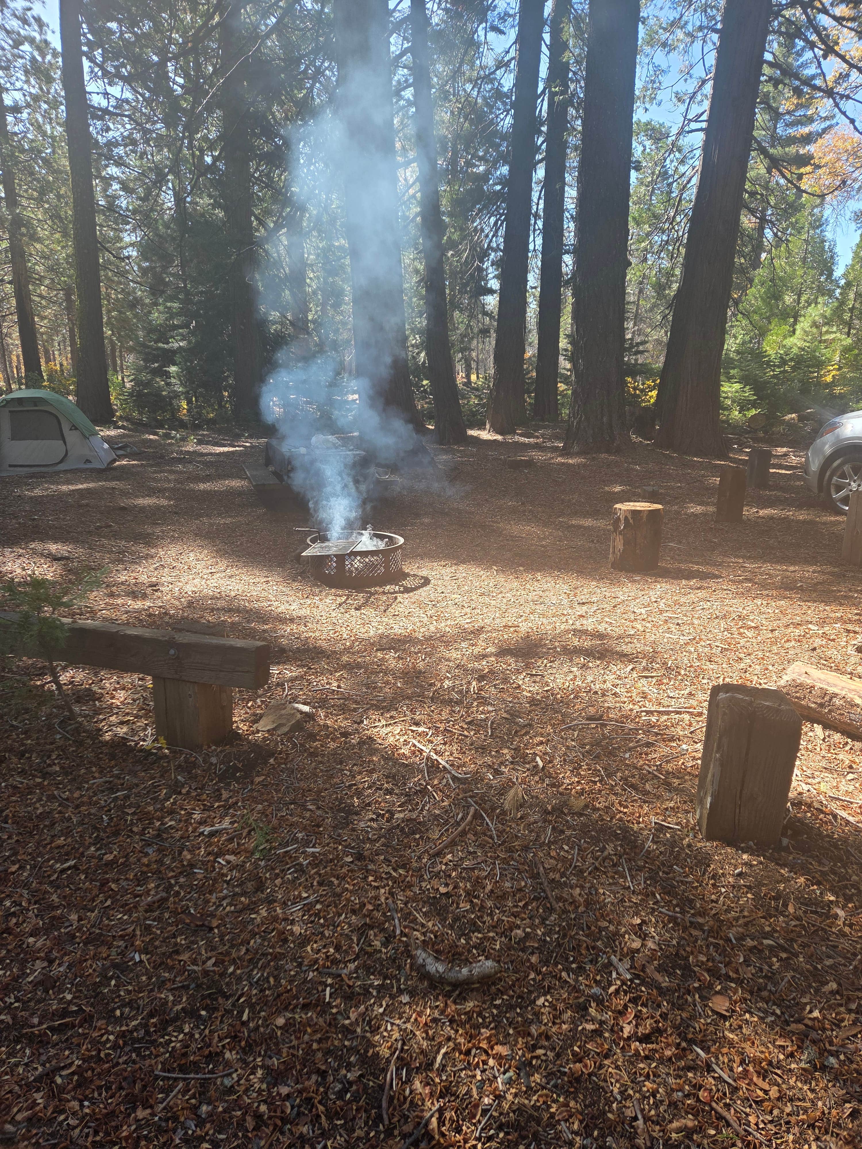 Cathy H.'s photo at Mumford Bar Trail Campground near Gold Run, CA