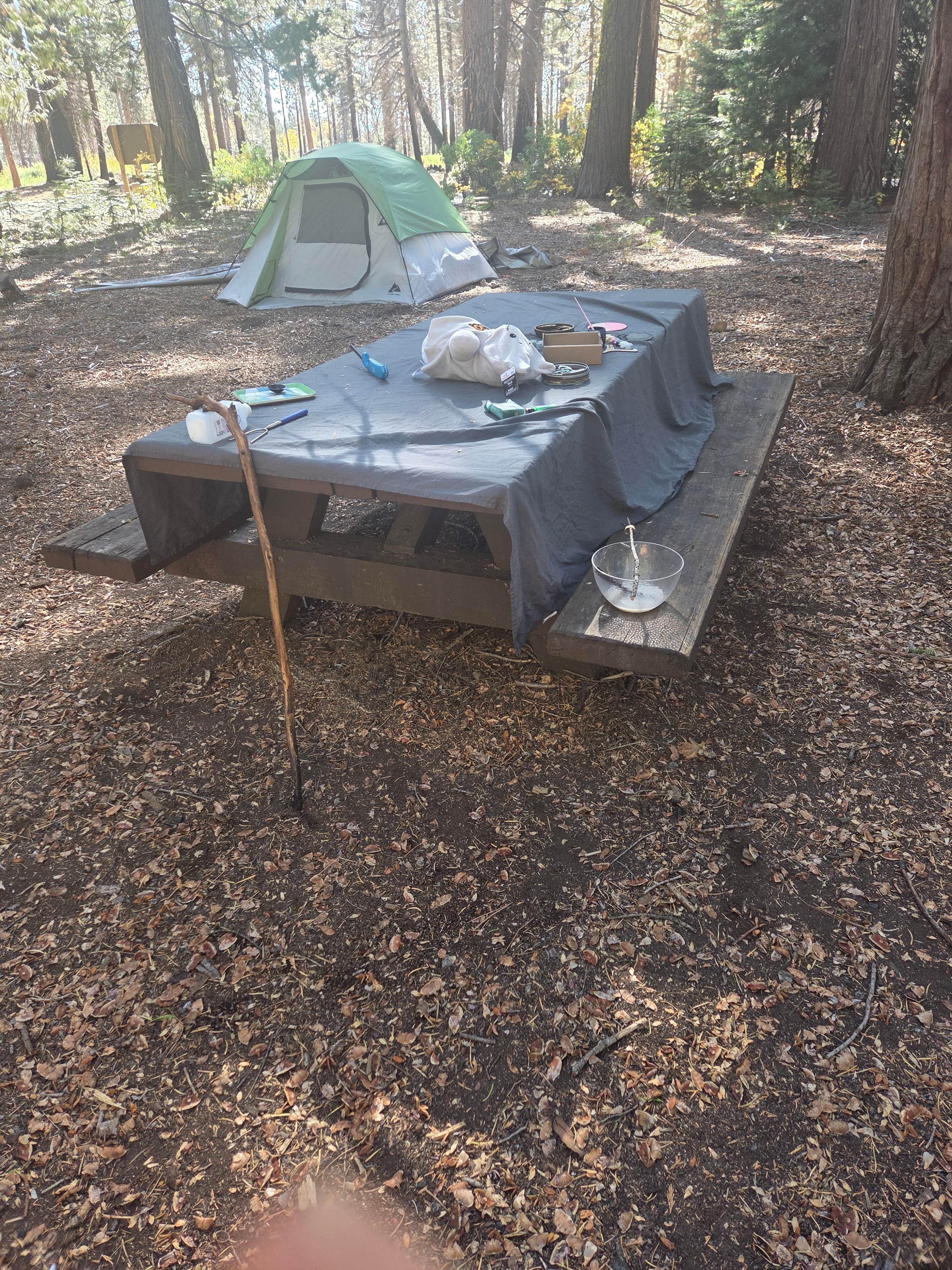 Camper submitted image from Mumford Bar Trail Campground - 1