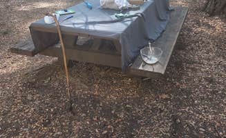 Cathy H.'s photo of tent camping at Mumford Bar Trail Campground near Oregon House, CA