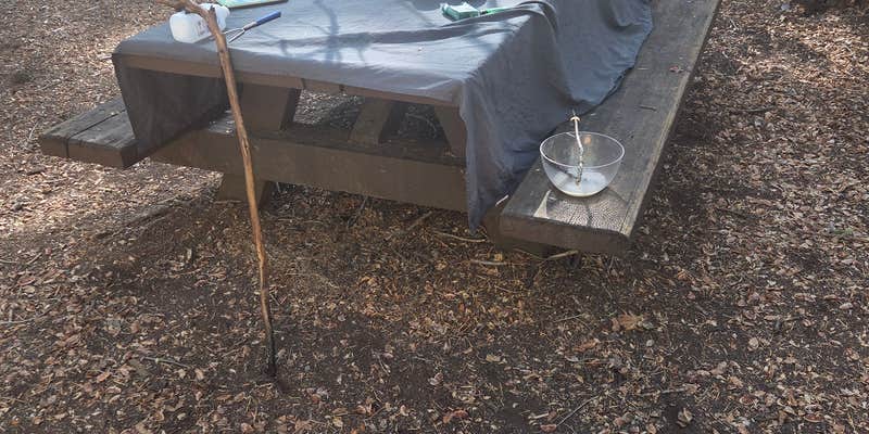 Camper submitted image from Mumford Bar Trail Campground