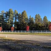 Review photo of Munds Park RV Resort by Ben B., October 10, 2026