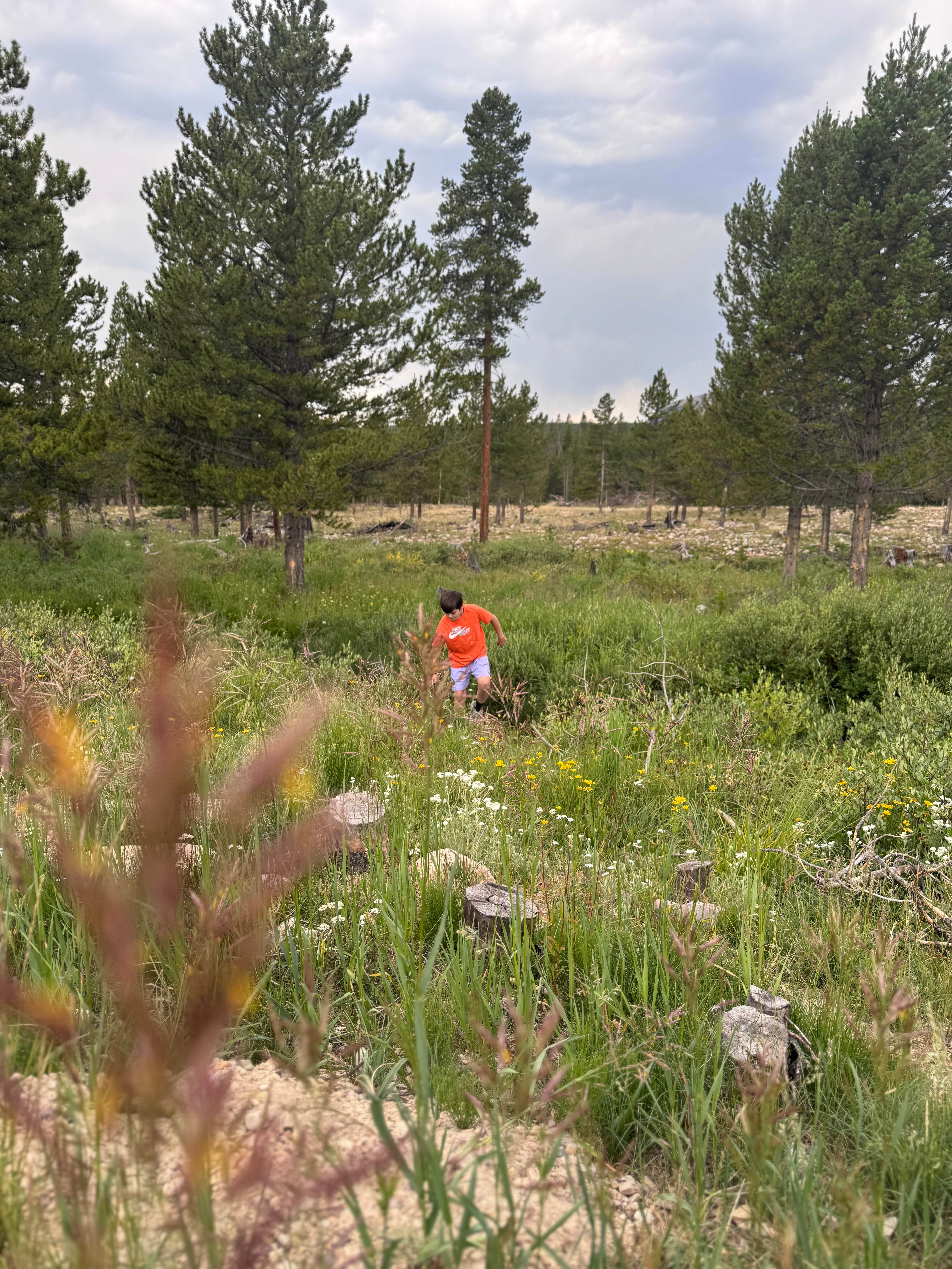 Camper submitted image from Murdock Basin - 5