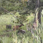 Review photo of Murdock Basin by Heather L., August 2, 2025