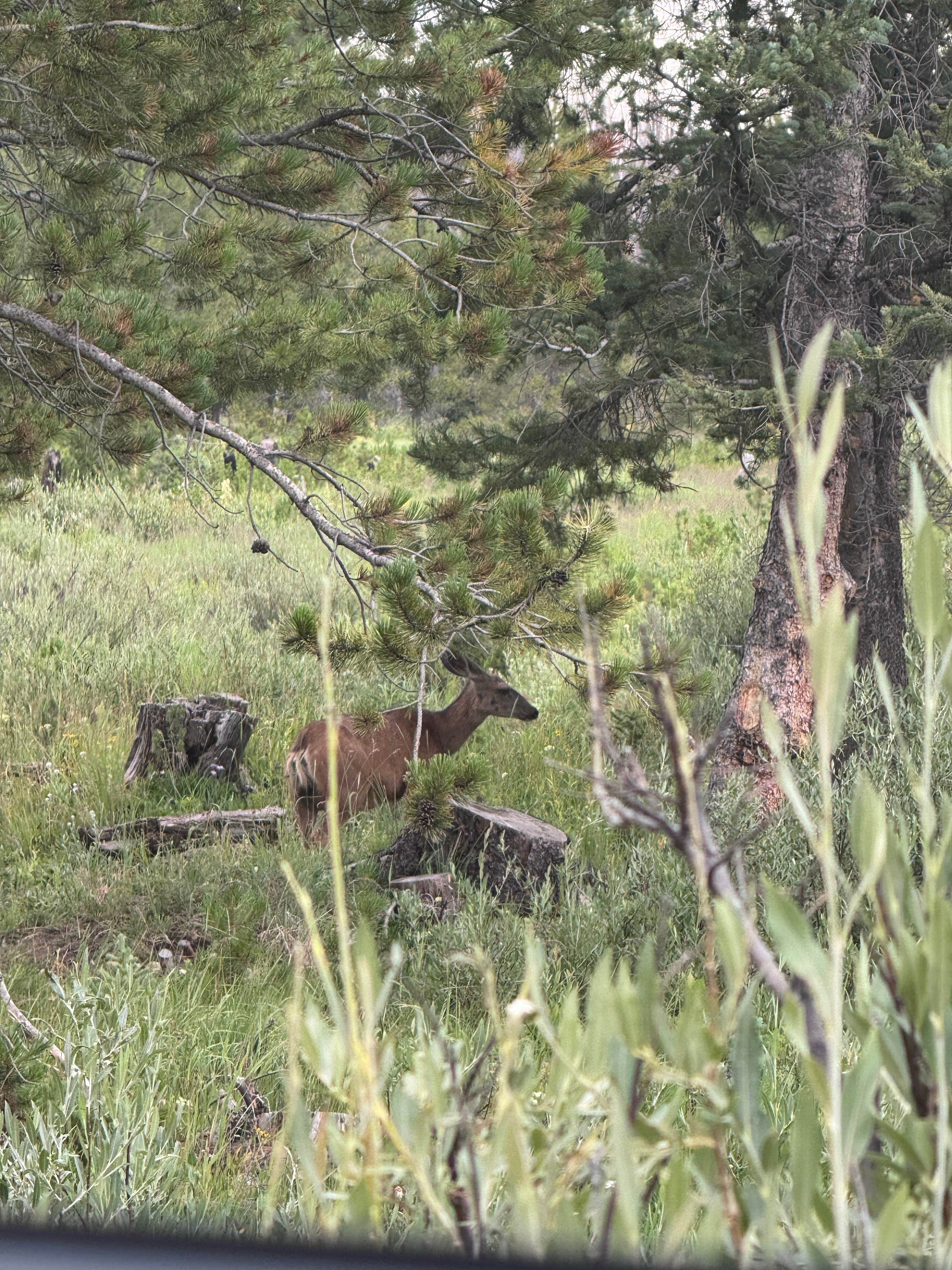 Camper submitted image from Murdock Basin - 2