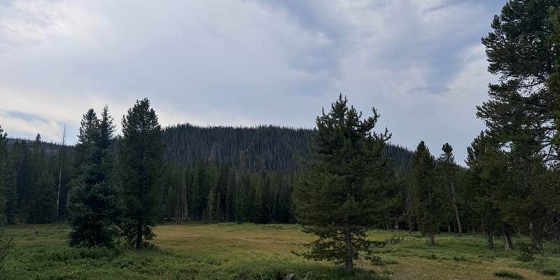 Camper submitted image from Murdock Basin