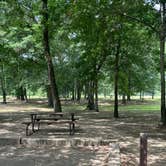 Review photo of Murfeesboro RV Park by Kerri C., June 10, 2026