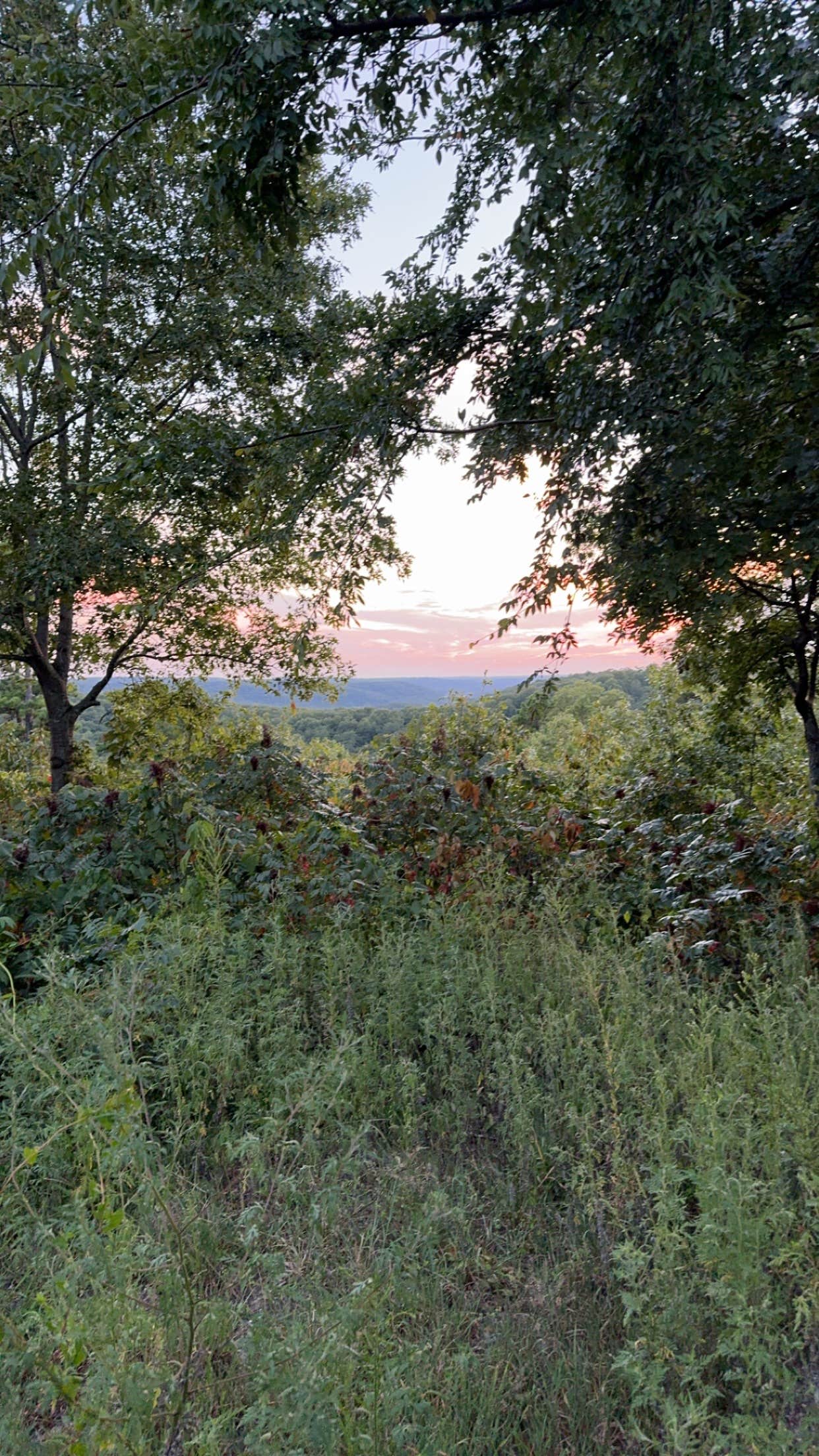 Brayden W.'s photo of a dispersed camping area at FS-2363 Dispersed Camping - Murphy Overlook near Hillsboro, MO
